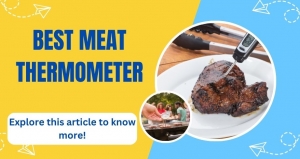 What is the best kind of meat thermometer to buy and why?